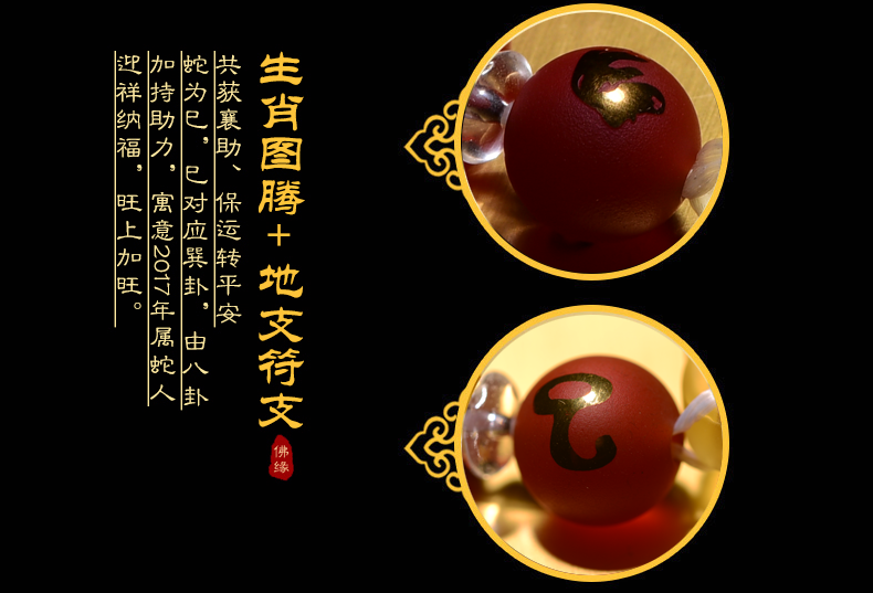通正道精准生肖
