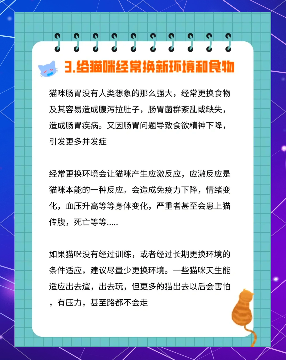家里养猫风水禁忌