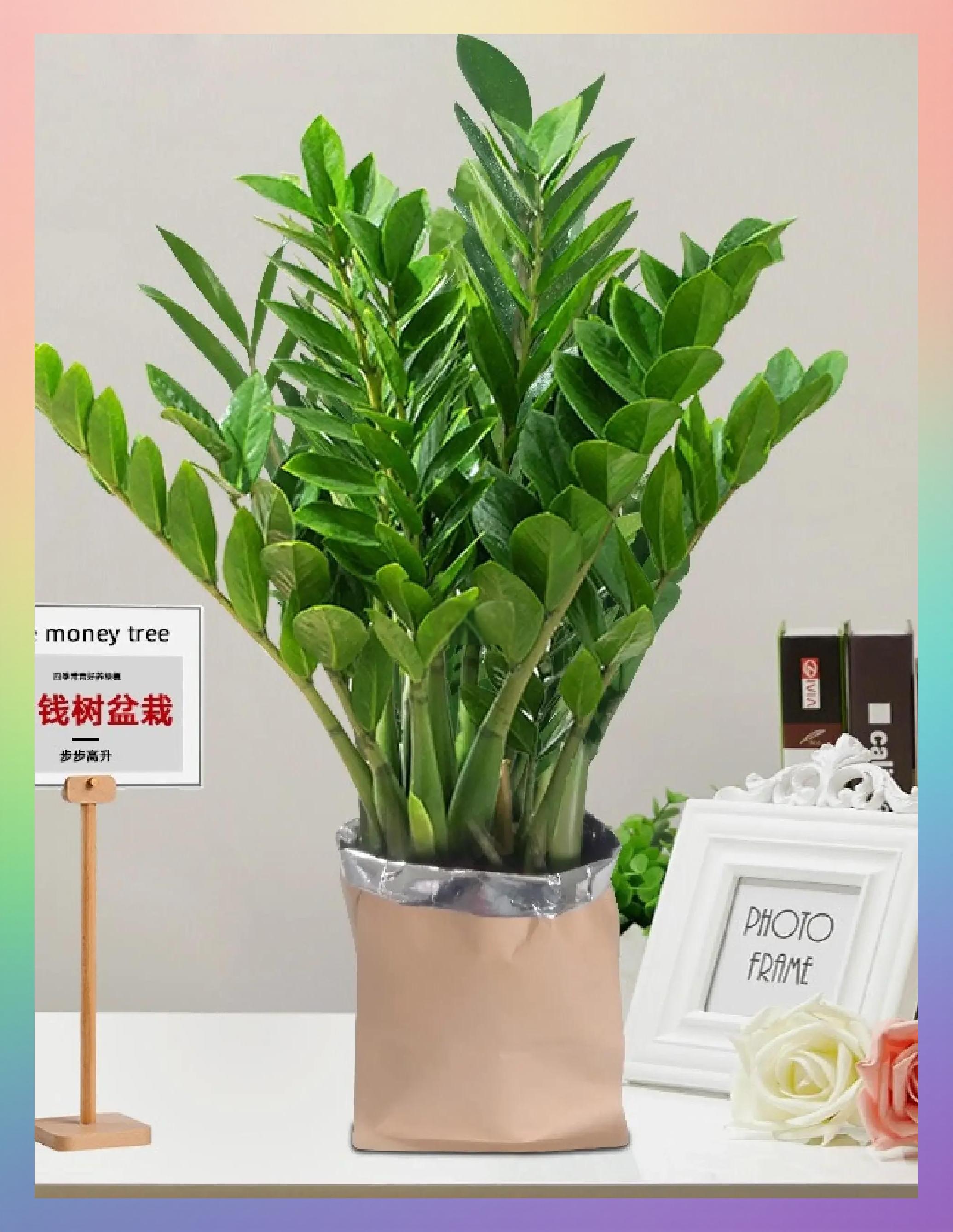 科普展现:客厅风水禁忌（客厅风水禁忌布局）