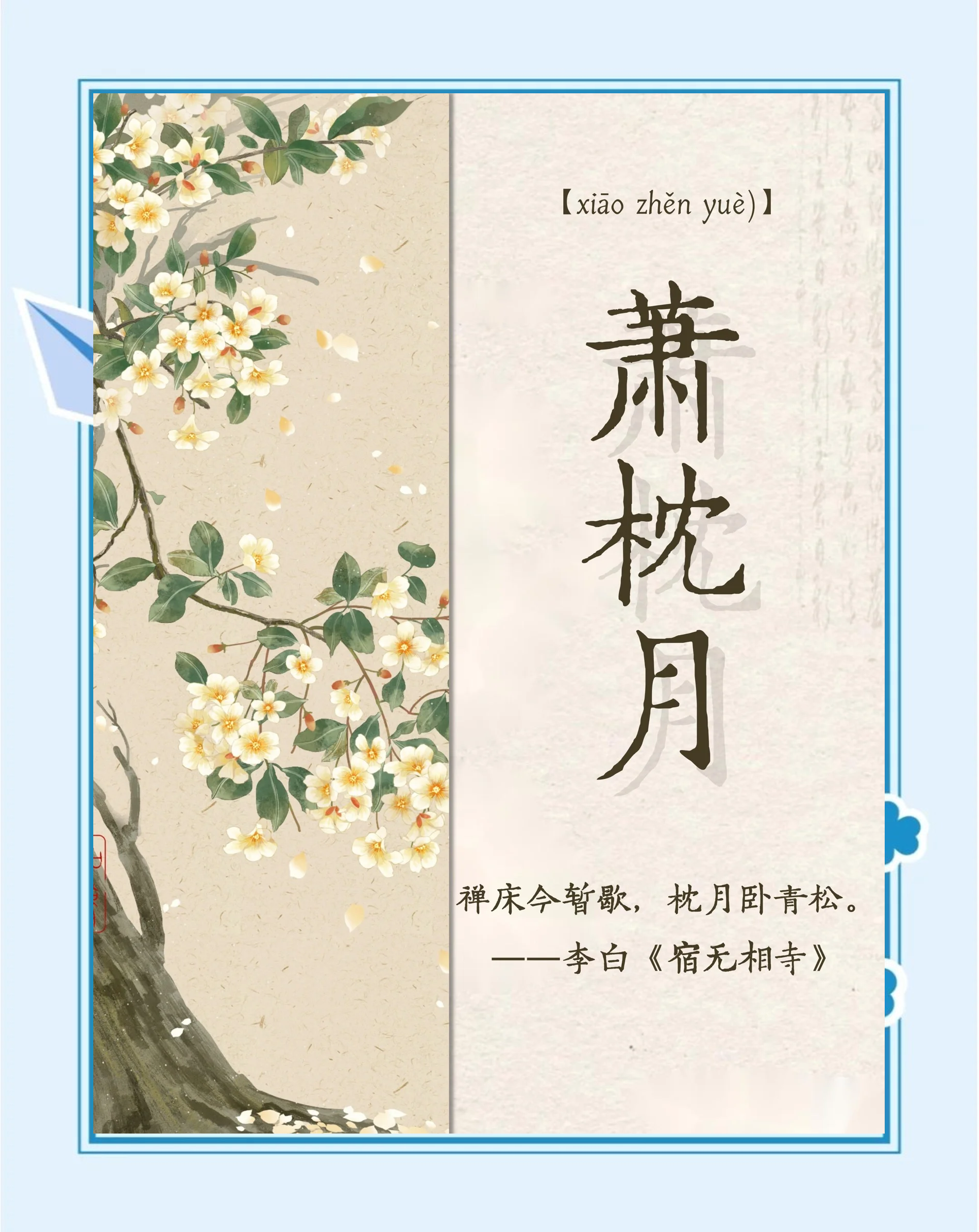 科普展现:古风清雅名字（清新文雅古风名）