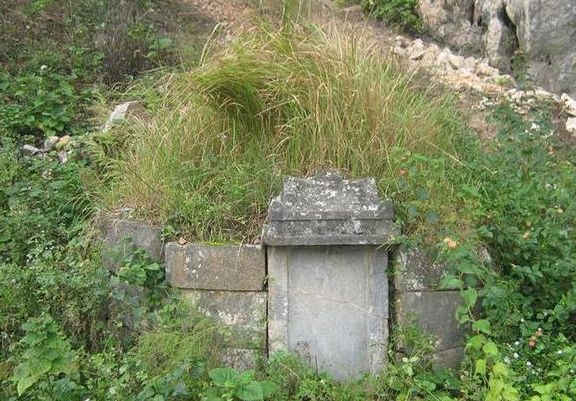 从坟头草看后代