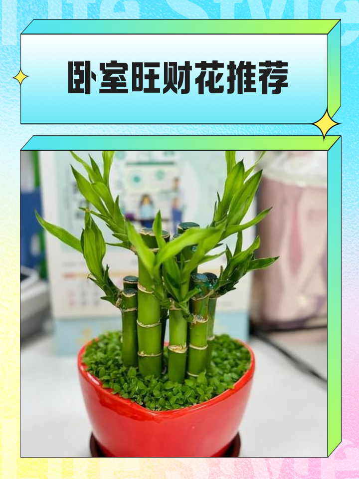 家居风水旺财方法
