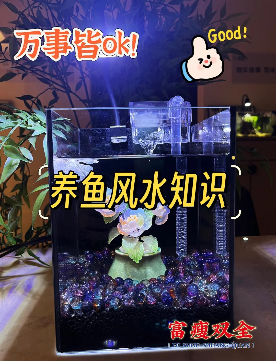养鱼六大风水禁忌