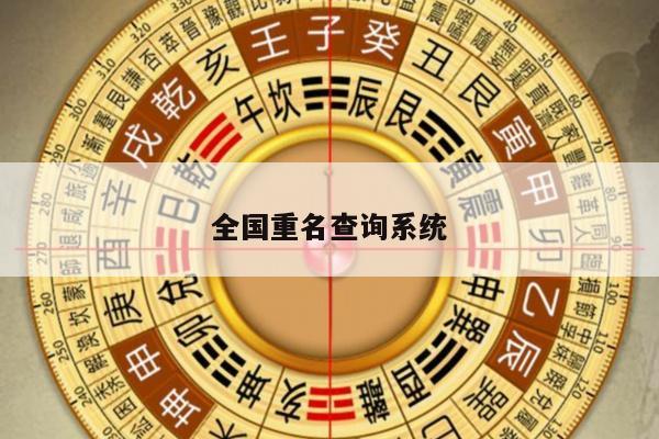 全国重名查询系统
