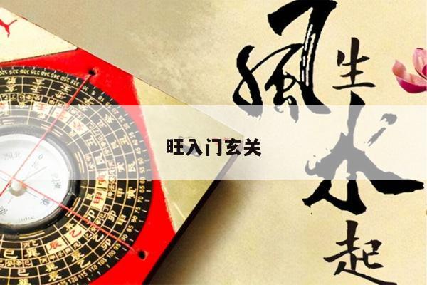 旺入门玄关