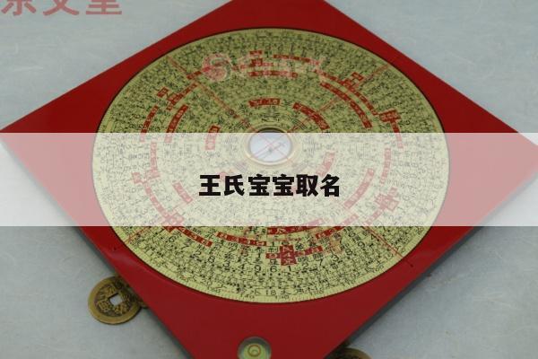 王氏宝宝取名