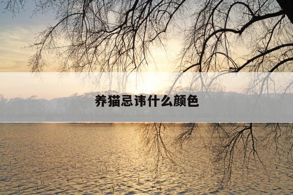 客户服务 第68页