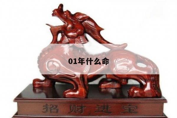 01年什么命
