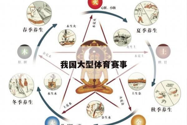 我国大型体育赛事