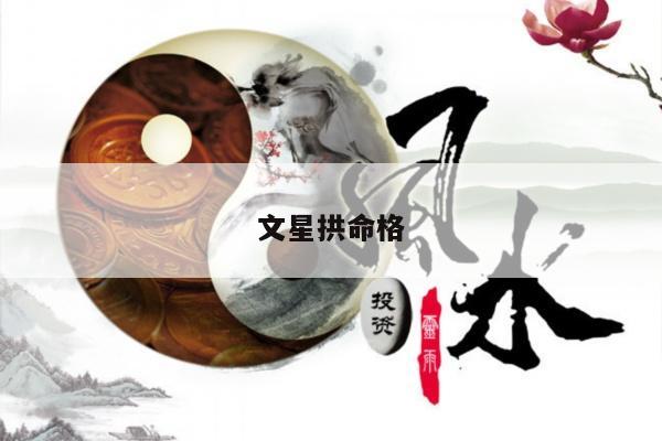 文星拱命格