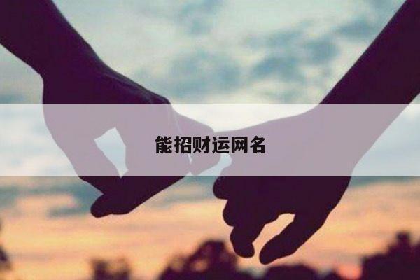 能招财运网名