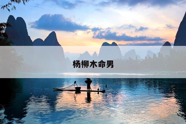 杨柳木命男