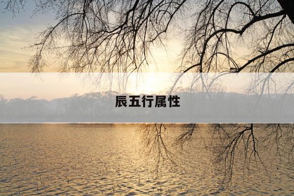 辰五行属性