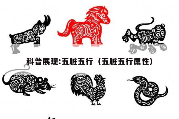科普展现:五脏五行（五脏五行属性）