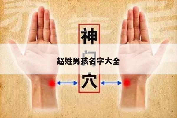 赵姓男孩名字大全