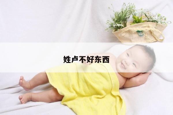姓卢不好东西