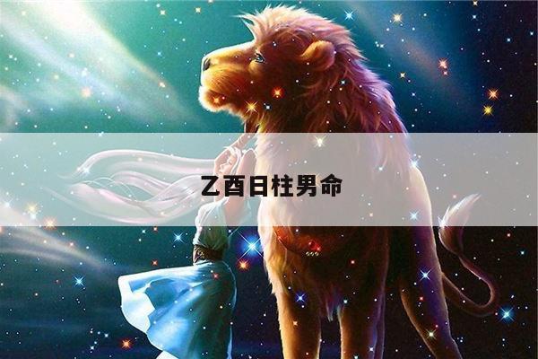 乙酉日柱男命