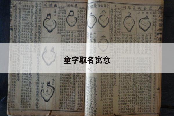童字取名寓意