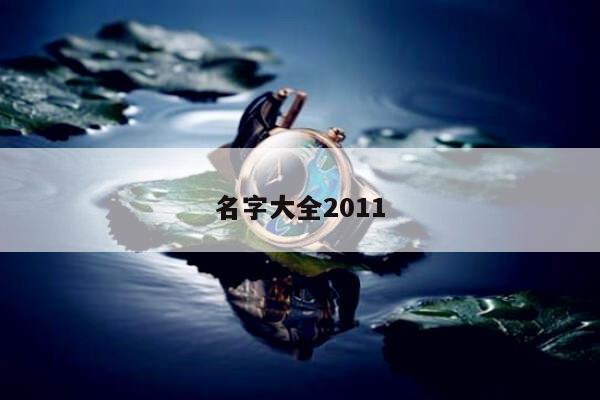 名字大全2011