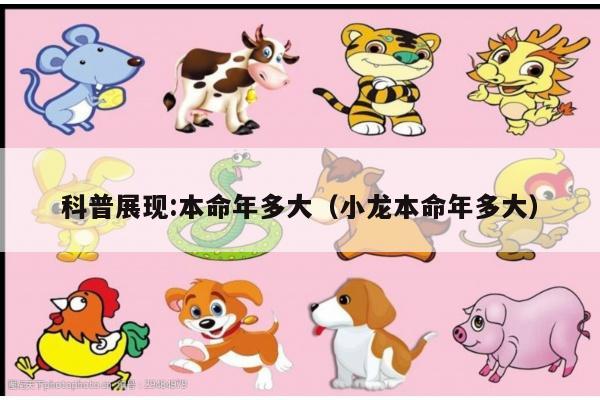 科普展现:本命年多大（小龙本命年多大）