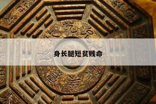 身长腿短贫贱命