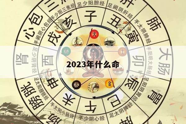 2023年什么命