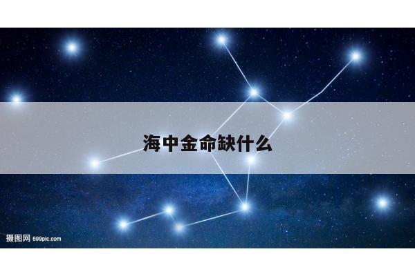 海中金命缺什么