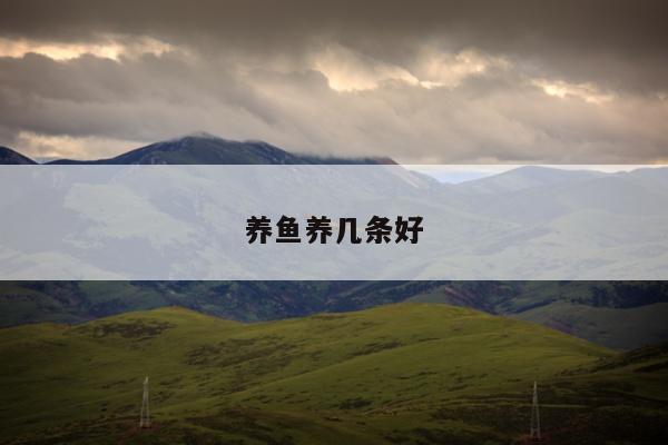 养鱼养几条好