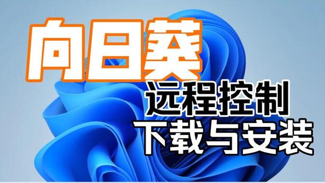 新向日葵远程控制,向日葵远程控制如何使用