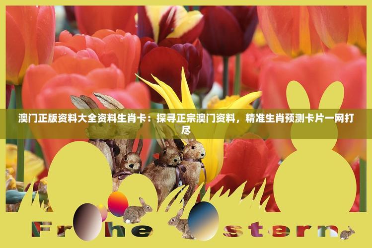 澳门九龙内部资料公开,澳门最精准正最精准龙门