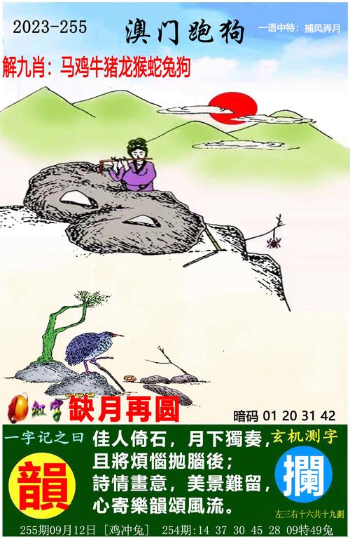 真正四肖12码必中,四肖四码 必