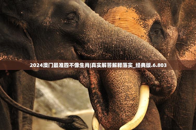 澳门一肖一码100精准2024,澳门一肖一码100精准2023端午是什么生肖
