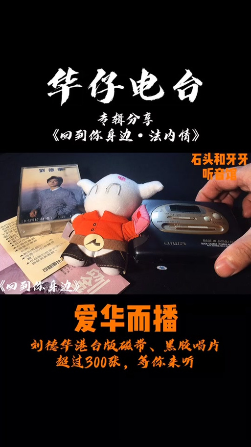 法内情大结局,法内情大结局 电影