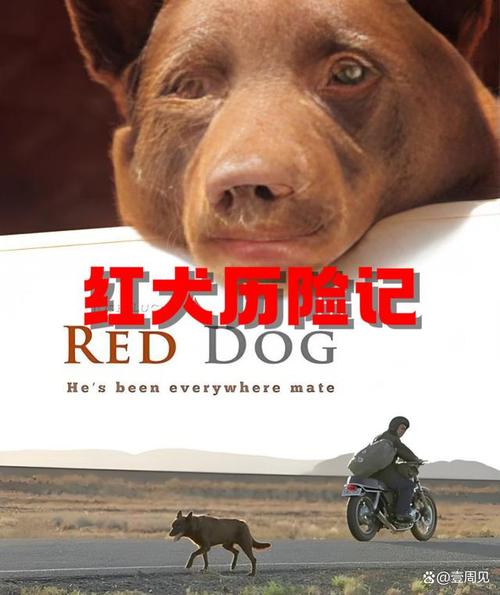 超催泪的电影排行榜,超催泪的电影排行榜前十名