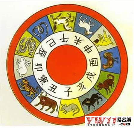 香港十二生肖开奖网站大全,香港十二生肖开奖网站大全最新