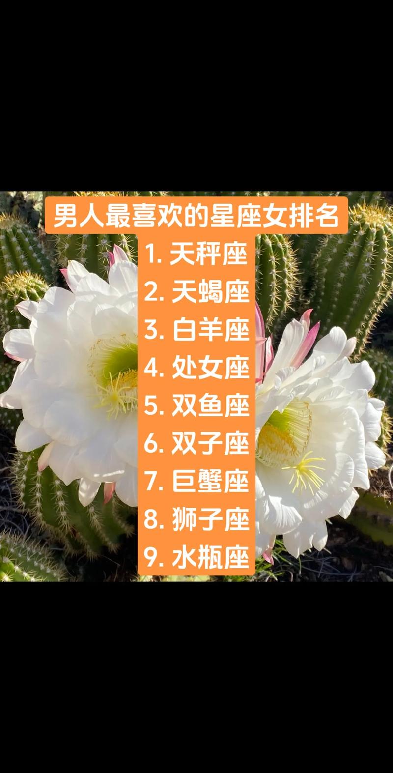 天秤女运势今日最准,天秤女运势今日最准的一天