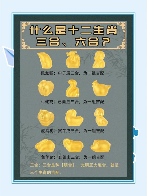 开金花的生肖指哪几个,开金花的生肖指哪几个生肖