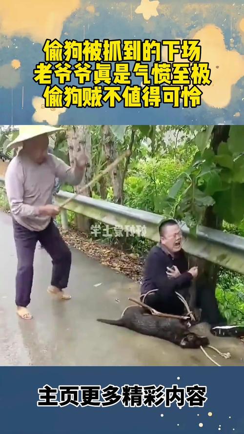 偷狗的完美方法,偷狗的完美方法在线观看全集