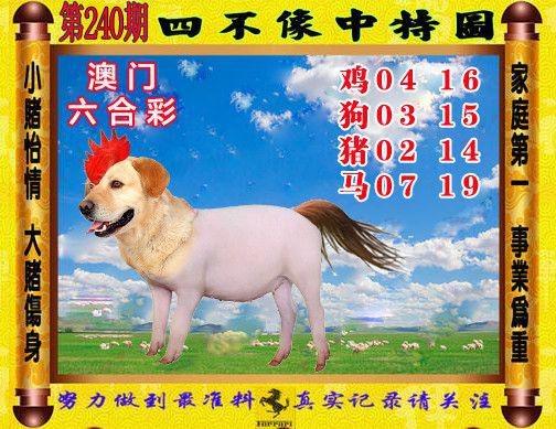 澳门王中王一肖一中一码,澳门一码一码100准确 官方
